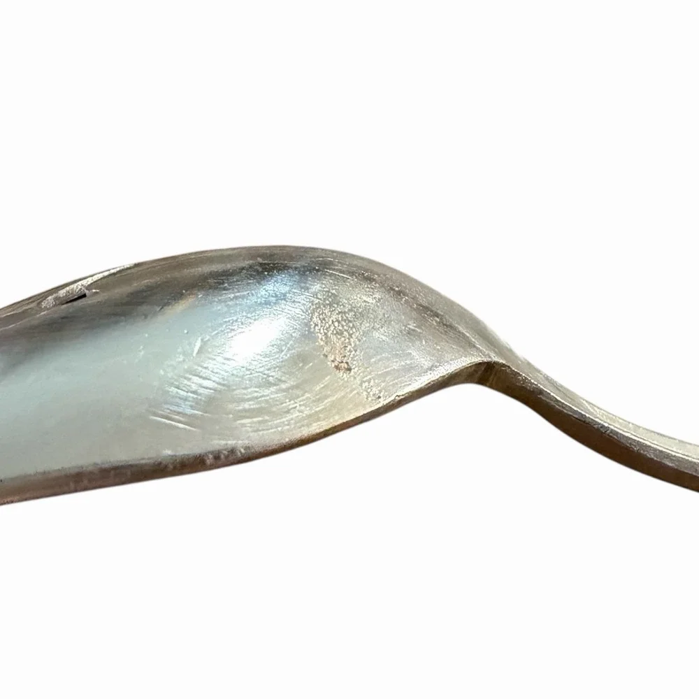 WM Rogers & Son‎ International Silverplate Sea Spray Bon Bon Slotted Spoon